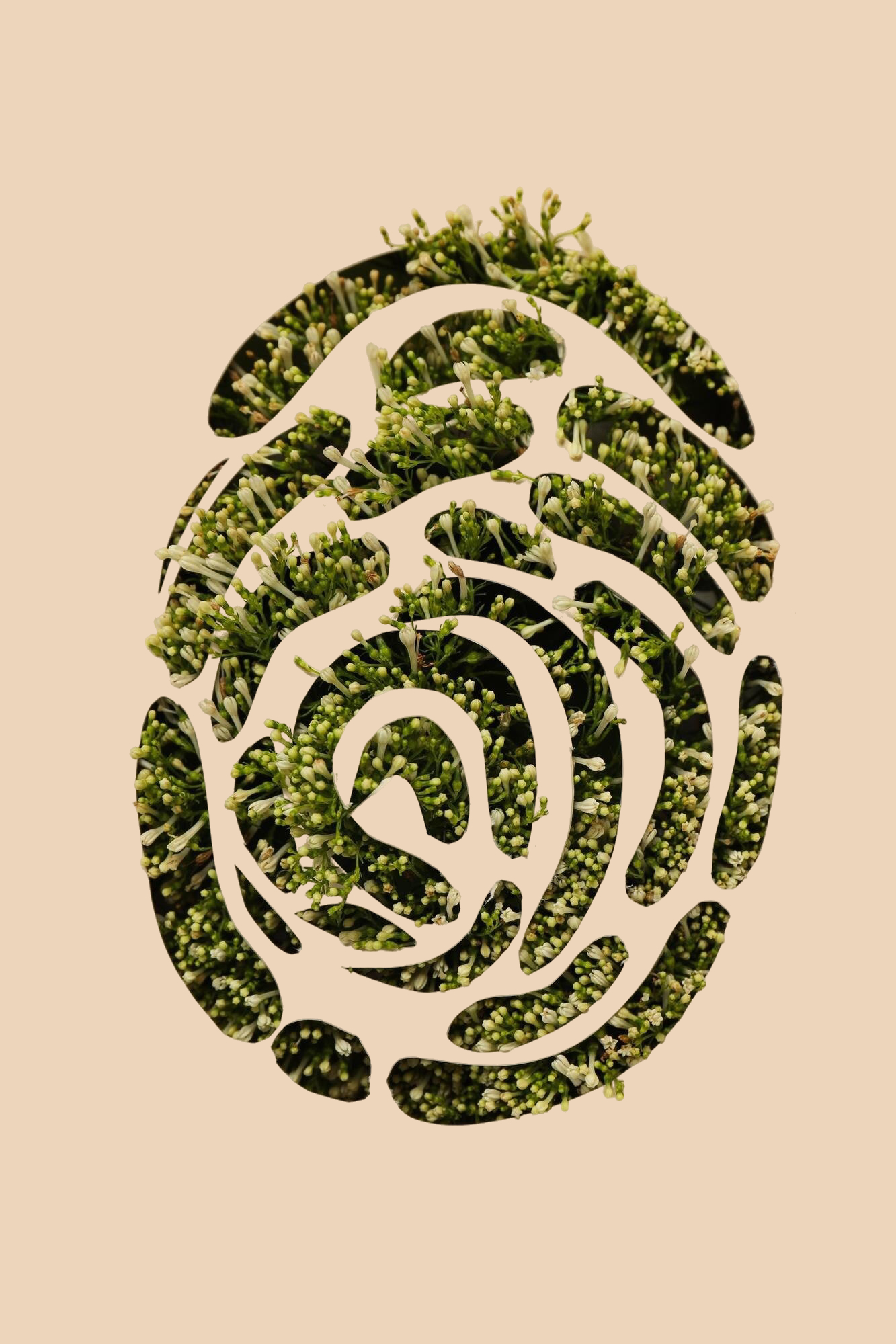 Économie d’énergie